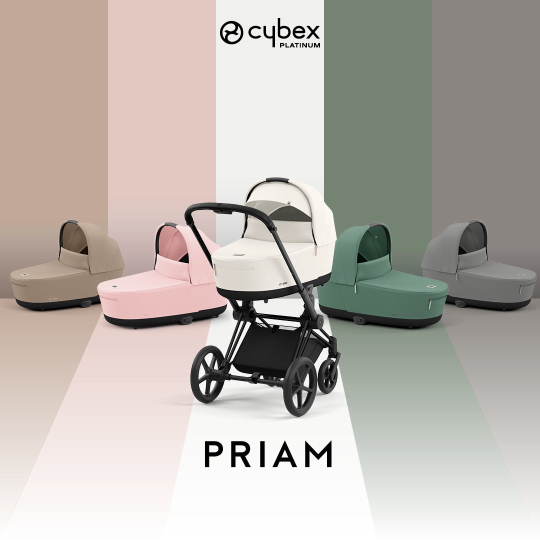 Priam & ePriam