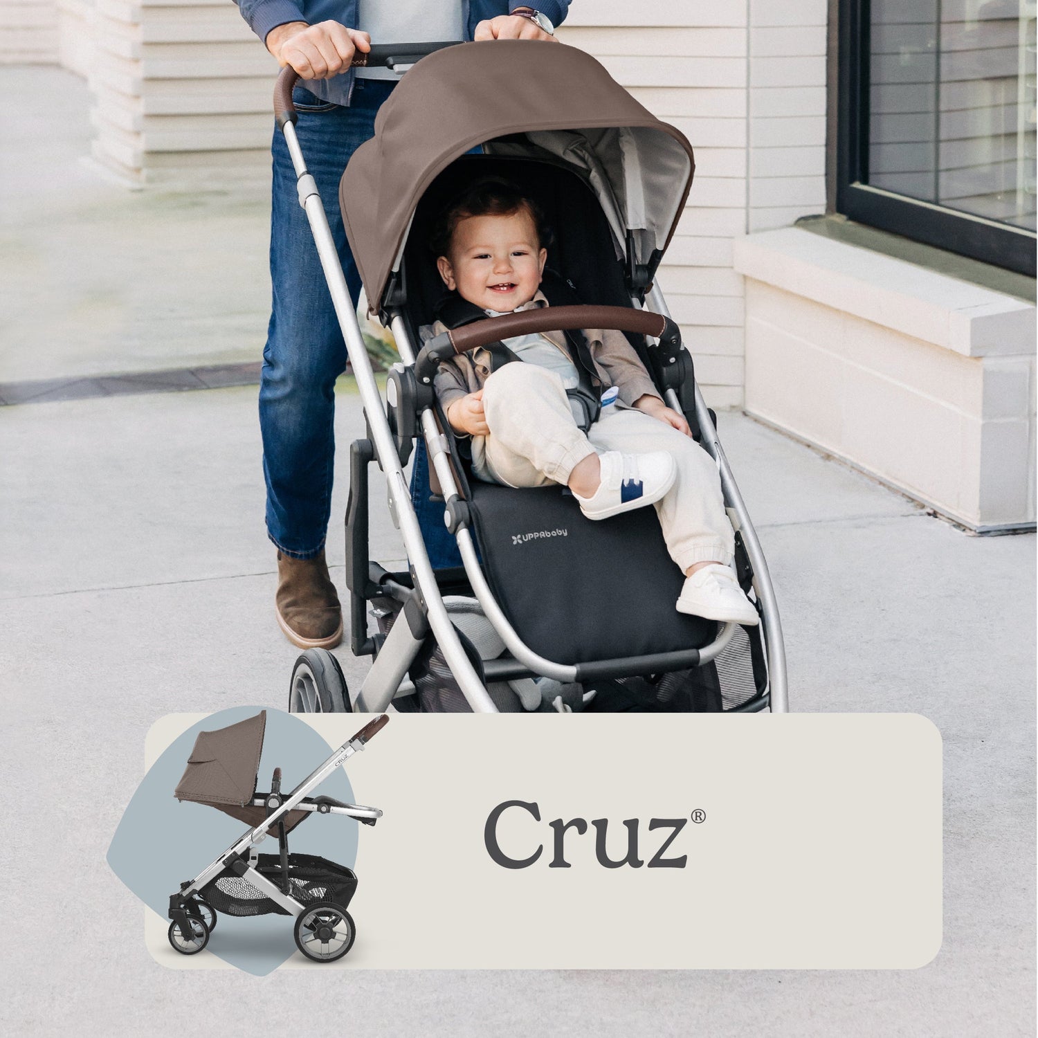 Cruz V2