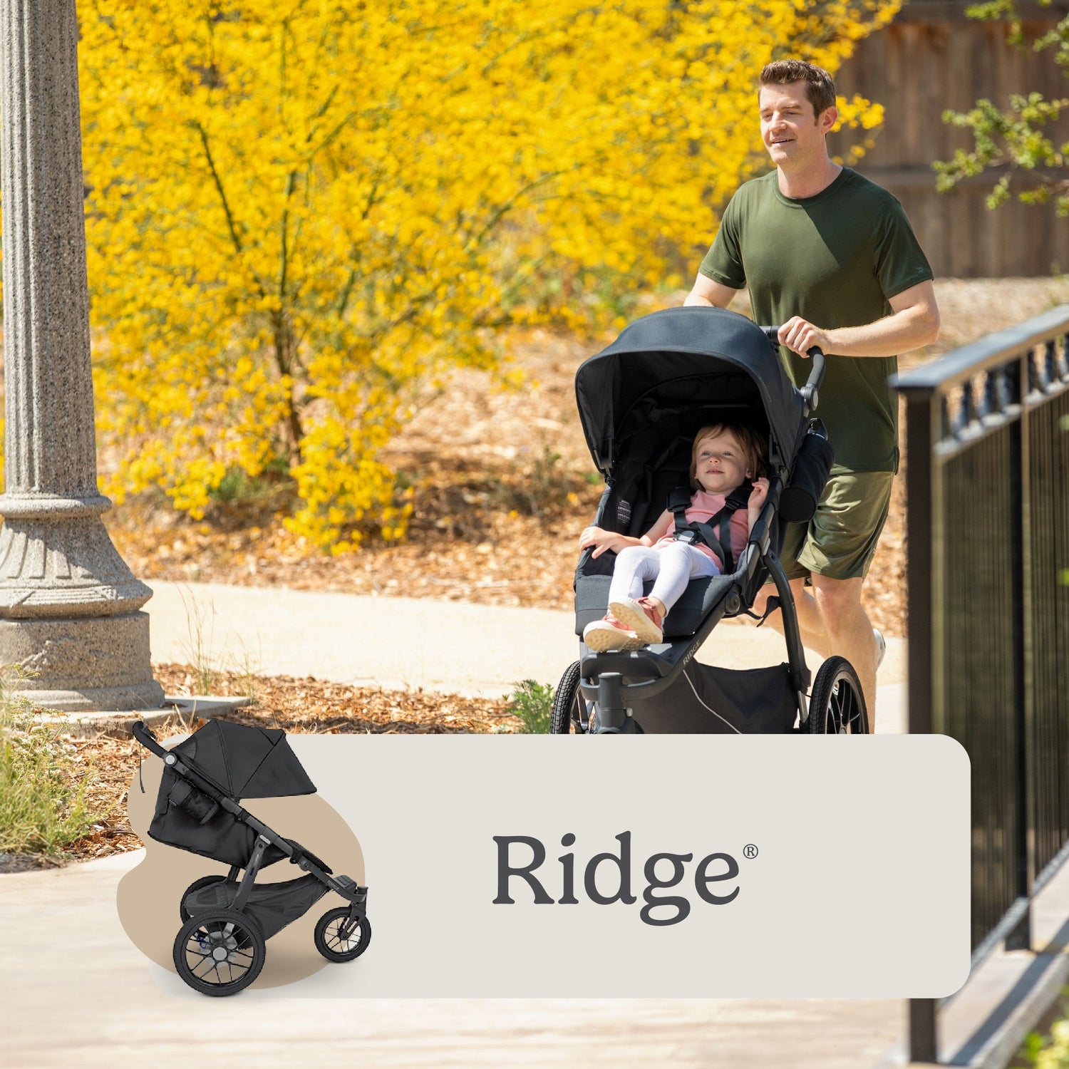 Ridge
