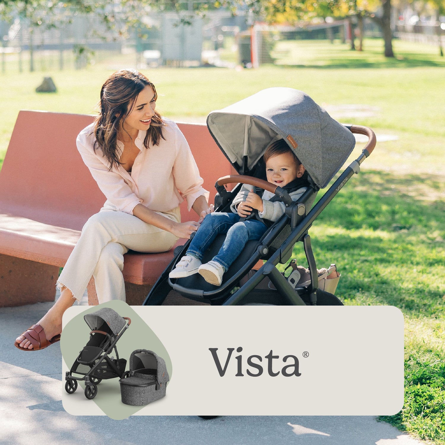 Vista V3