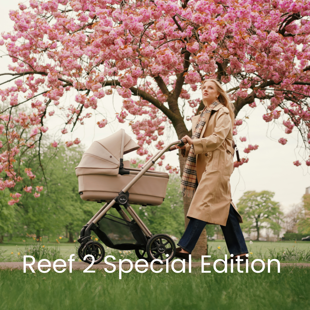 Reef 2 Special Edition