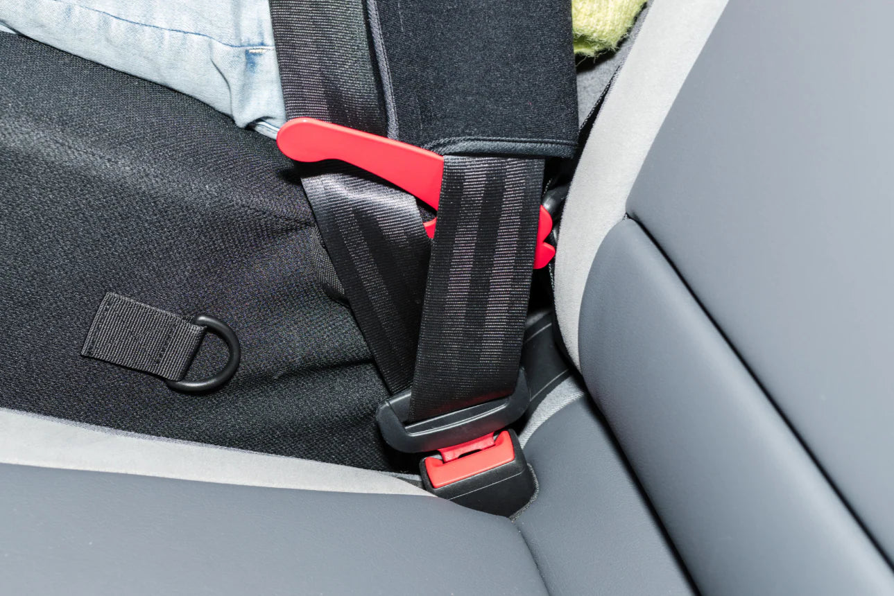 Bubblebum Teleport Booster Seat